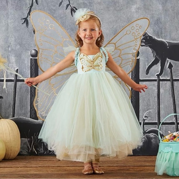 Pottery Barn Fairy Costume